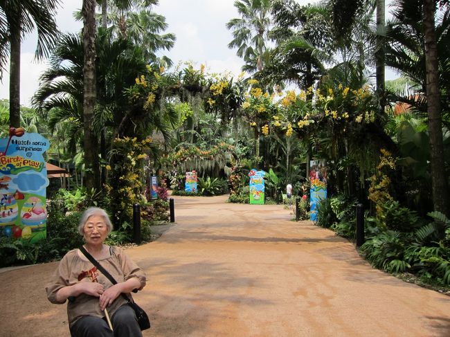 タクシーで10分程度で到着。<br />南国の雰囲気たっぷり！！