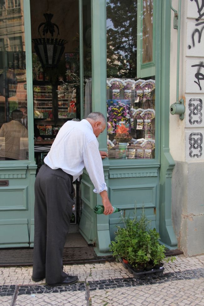 7:00から開いているという、マーケットに行ってみましたが、あける準備を始める時間のようで、ほとんどのお店が閉まっていました。待ってまで見るものも無いので、インフォメーションのある市庁舎の方向へ逆戻り。<br /><br />街角の花屋さんで、水をあげるおじさん。<br />ペットボトルに穴を開けて水を上げてました。<br /><br />種は壁一面に置いてあったので、すごい種類ですね。