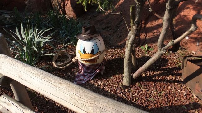 ドナルドさんはこんな荒野にたたずんで