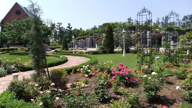 お庭にはバラが咲いてました。<br /><br />