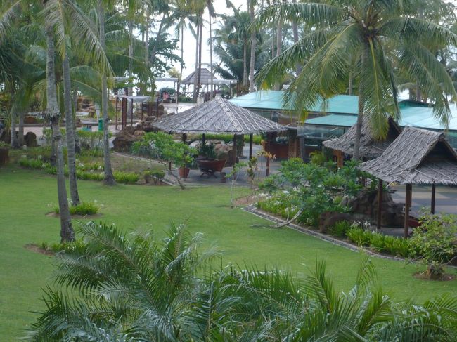 庭？はこんな感じで散歩も気持ち良かったです！