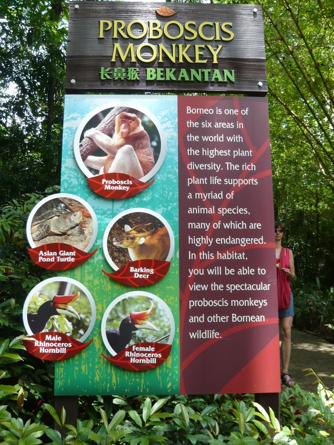 電車とバスを乗り継いでいざ動物園へ！！<br />・・・のはずが、バスが分からず結局タクシーで(笑)<br /><br />シンガポール動物園<br />http://www.zoo.com.sg/