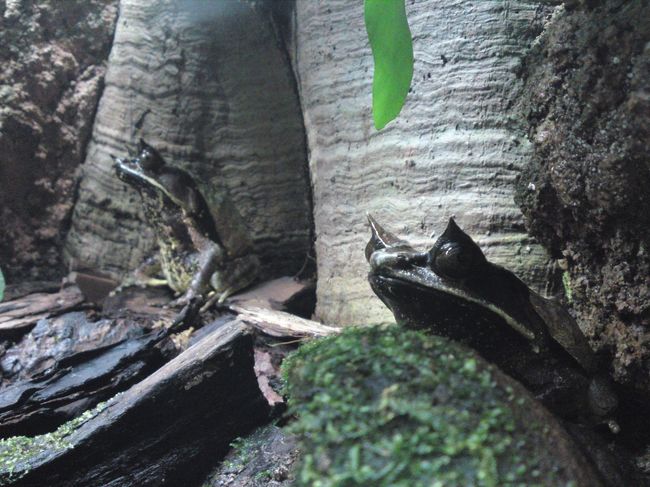 いい顔してます(笑)