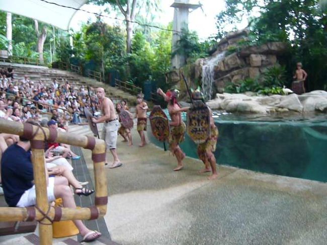 動物たちのショーもかなり楽しかったです！！！<br />お客さんも一緒に参加して大盛り上がり！