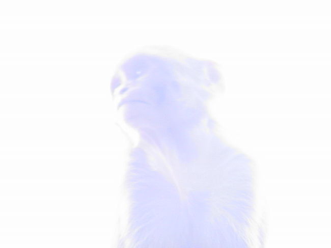 ここは、火葬場。<br /><br />川沿いで死者を焼き、<br />遺灰を川に流す。<br /><br />そんな一連の儀式を<br />見てしまった。<br /><br />今夜は、眠れない。