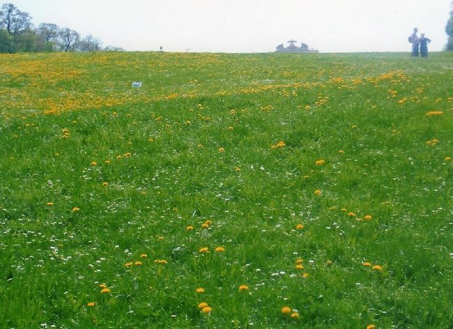 横になりたいが、汚れるのでやめた