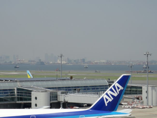 スカイツリー方面・・・もやって見えません(ﾉ_･｡)