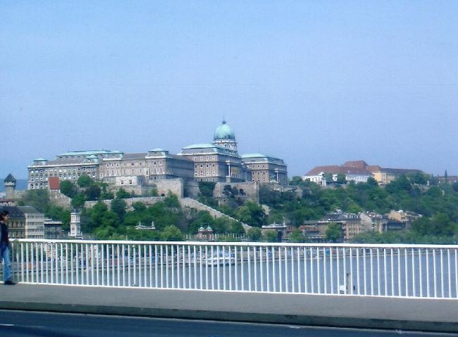 渡ってみましょう