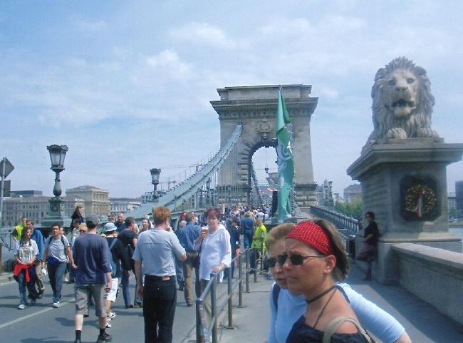 王様のシンボル、ライオン