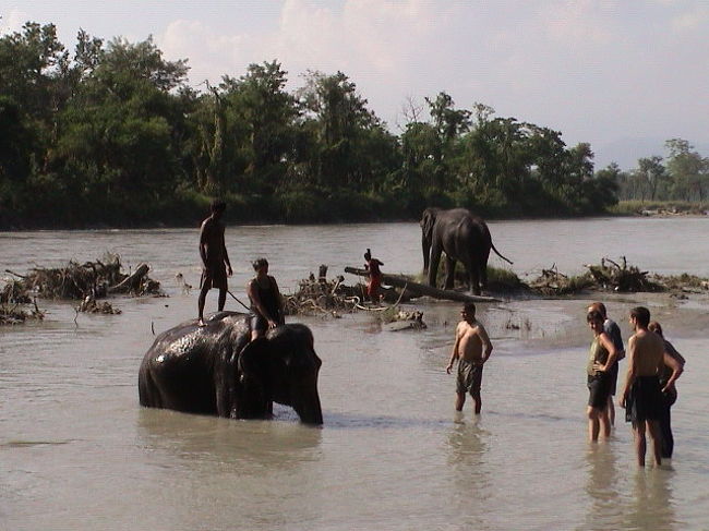 サファリの後は、<br />象を洗ってあげる。<br /><br />洗ってあげるというか、<br />遊ぶという方が正しい。<br /><br />象に水かけられたり、<br />人に水かけられたり、<br />思ったよりも楽しかった。