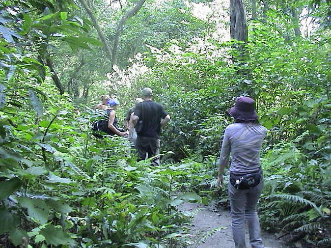 歩きのサファリもあった。<br /><br />トラやサイには会えなかったけど、<br />いろんな植物を見られた。<br /><br />そして、何よりも<br />歩いてることが気持ちいい。