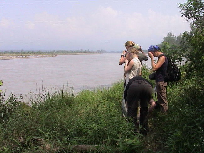 明朝は、雨。<br />激しい雨。<br /><br />荒れたナニヤラ川を<br />小舟で渡った。<br /><br />船底に溜まる水を<br />すくい出しながら。