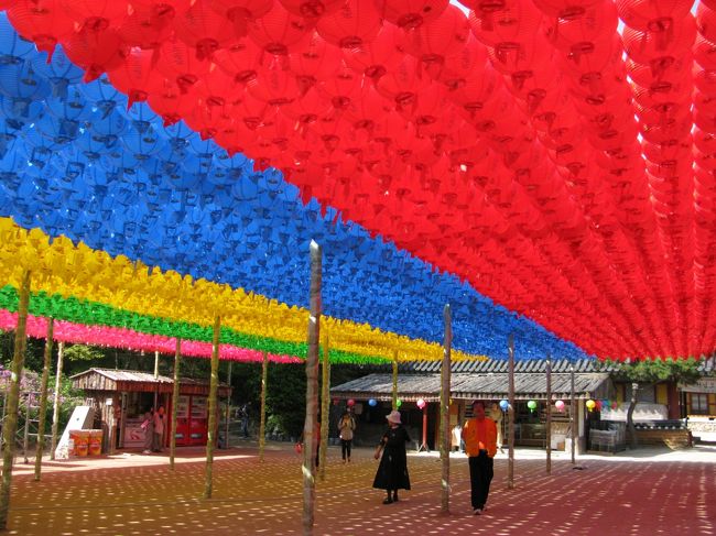 お釈迦様の誕生日を祝う、色とりどりの提灯がずらり。<br />綺麗です！