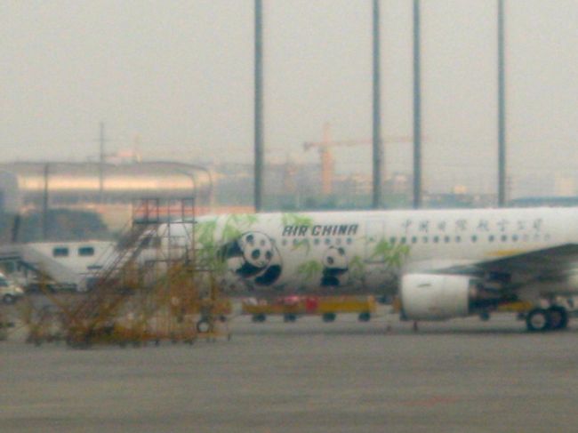 パンダジェット、可愛い〜♪♪♪