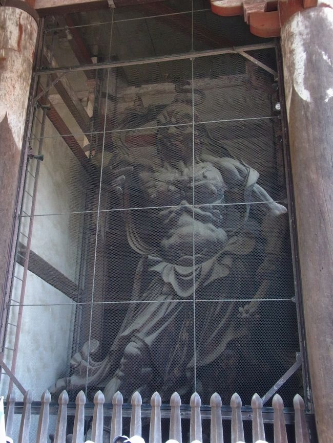 すっごく大きいです