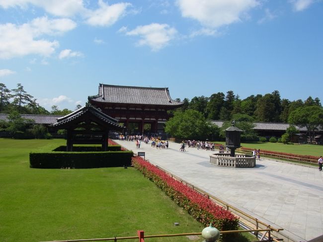 晴天！<br />鮮やかな芝生！