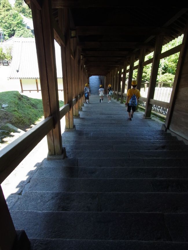 降りる階段。結構急です。