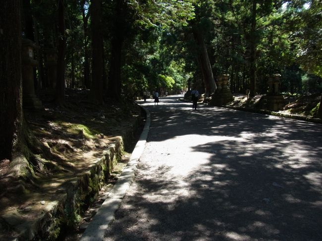 まっすぐかと思いきや、意外と蛇行しています。<br />脇には灯篭が沢山ありました。<br />日差しがきつかったのですが、木陰があったので歩きやすかったのです。