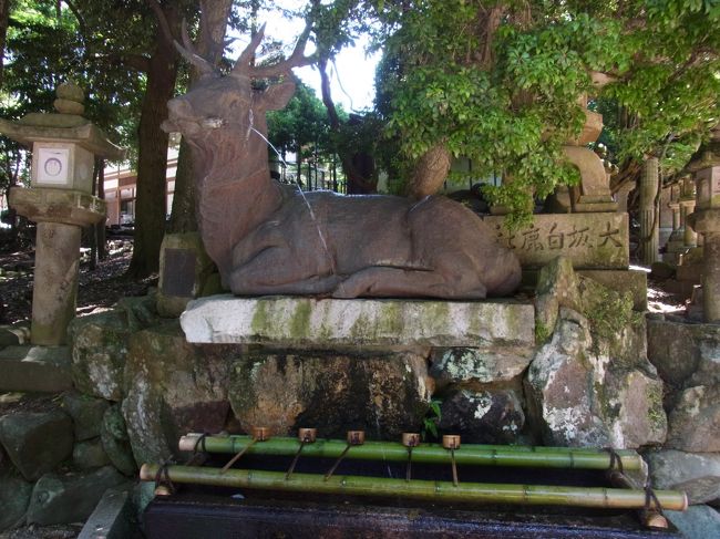 流石奈良<br />鹿です。