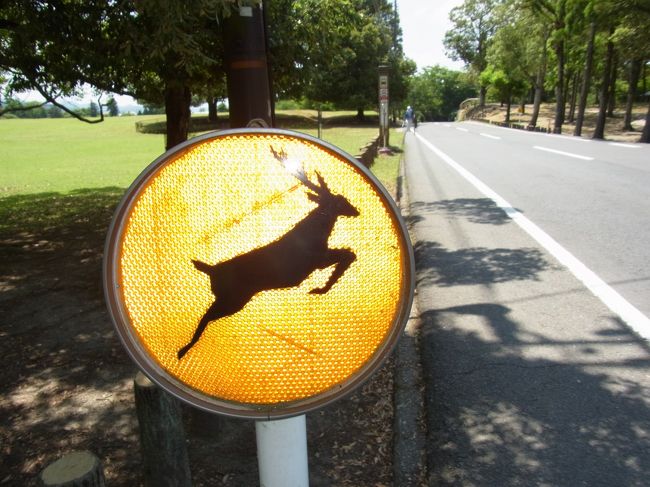 ならまちに行くためにバス停へ<br />道路脇には、鹿飛び出し注意の看板があちこちにあります。<br />市内にこういった看板があるのは、奈良ならではですね。