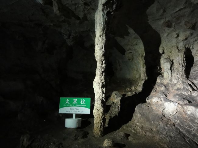 大黒柱！<br /><br />我が家の大黒柱も、ここで一緒に記念撮影しました(笑)