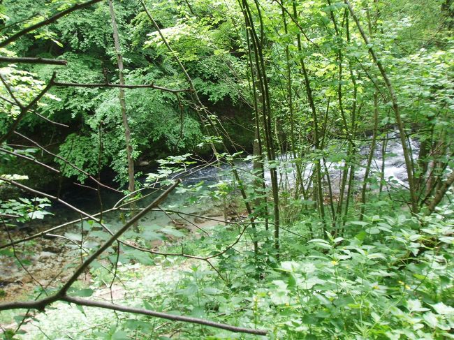 ヴィントガル渓谷へ。<br />当初歩いて行く予定が、予定ぎっしりになったので、チェックアウトの後、ミニバスでそのまま出発。