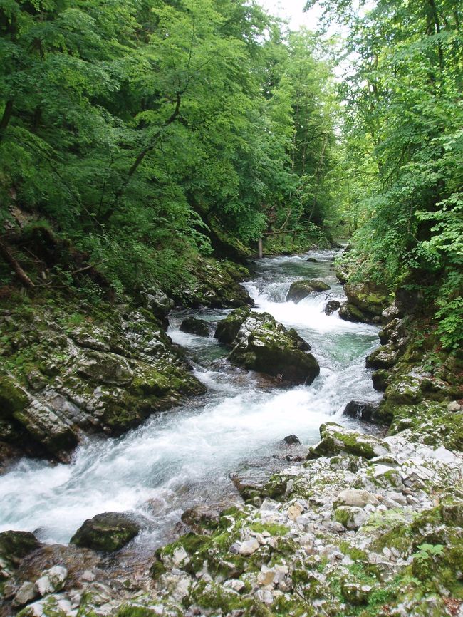 渓谷散策にはやっぱり新緑が似合います。