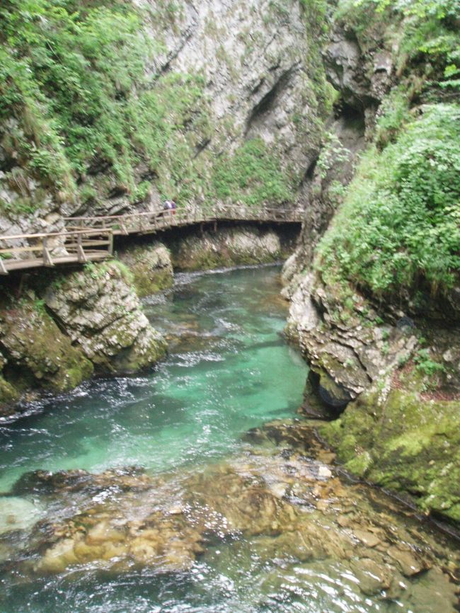 往復で１時間半のハイキング。<br />時間があったら湖畔だけでなく是非足を運んでくださいね。