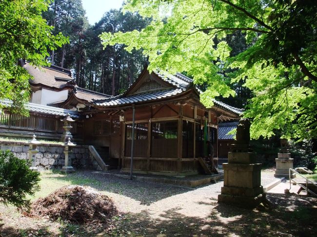 　泉神社は村社ですが、古い歴史もあり、周りの自然も素晴らしいです。