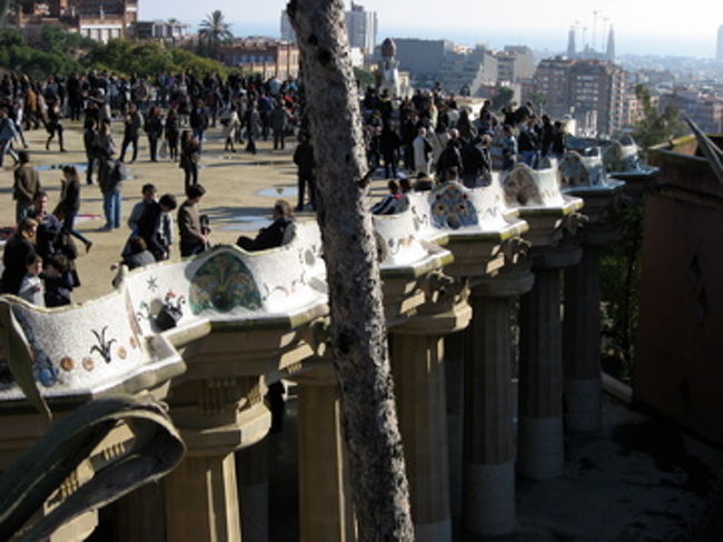 この波打つ形状の部分がベンチになっているんです。