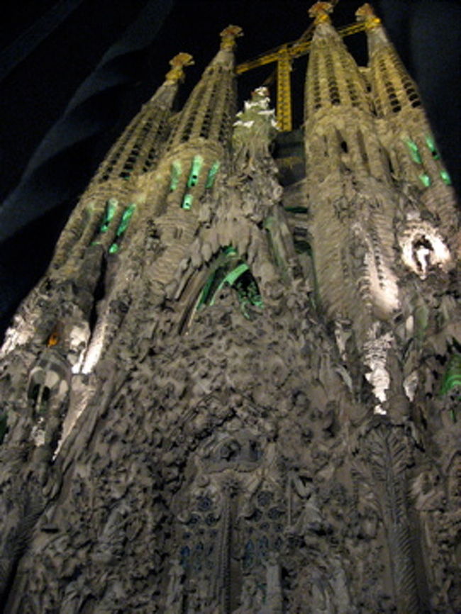 どのアングルで撮れば一番スゴさが伝わるのでしょう。