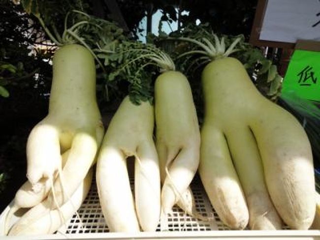 野菜が売られています。<br />帰りに買っていきました。 <br />