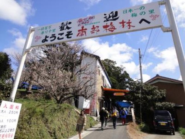 入園口<br />約3キロのBコースを歩いてみることにしました。 <br /><br />