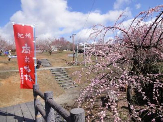 梅公園<br /><br />