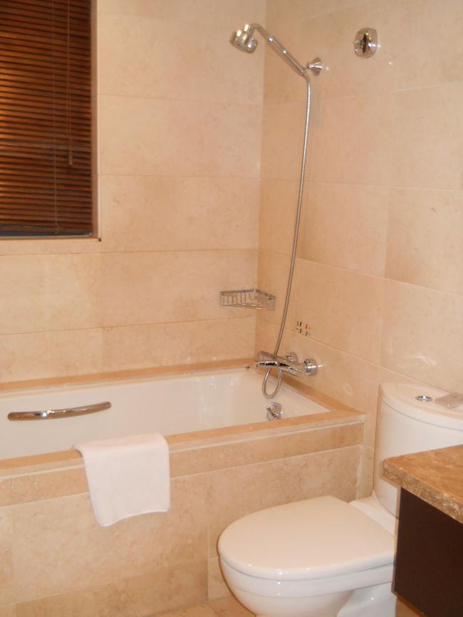 シャワーは可動式、バスタブだって広いし深い、日本人向けかな。