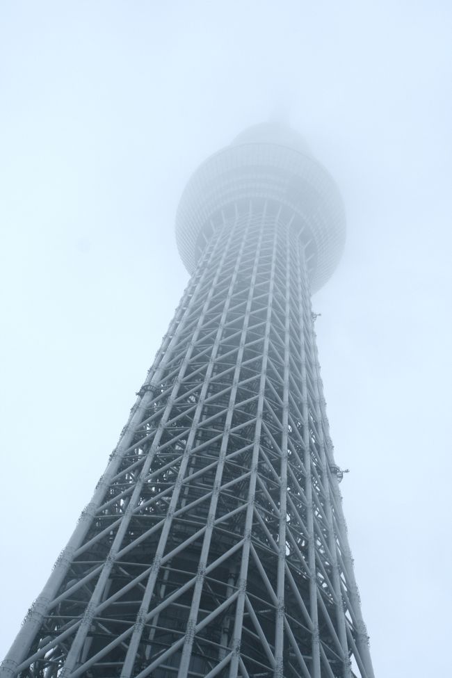 神秘的 雨の東京スカイツリー 浅草 東京 の旅行記 ブログ By Kittyさん フォートラベル 神秘的 雨の東京スカイツリー 浅草 東京 の旅行記 ブログ By Kittyさん フォートラベル