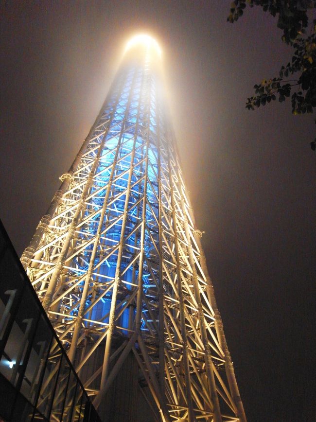 神秘的 雨の東京スカイツリー 浅草 東京 の旅行記 ブログ By Kittyさん フォートラベル 神秘的 雨の東京スカイツリー 浅草 東京 の旅行記 ブログ By Kittyさん フォートラベル