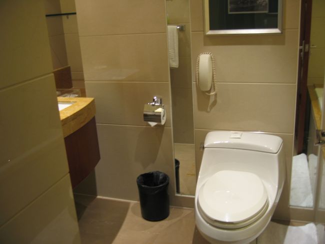 浴室のドアを開けると、正面にトイレ、左に洗面台、右に浴槽とシャワー