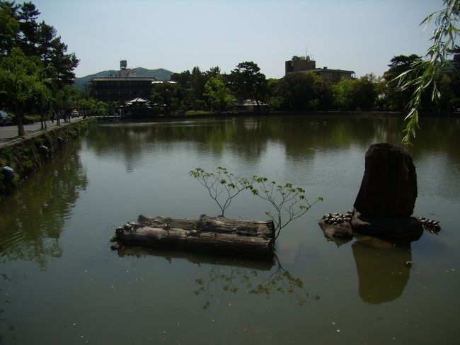 修学旅行以来の「猿沢の池」四捨五入すると<br />５０年ぶりになる。<br />亀さん亀さんか頼ってるぞ（これが最初の変換）<br />偏ってるぞ（二度目）<br />二度目で出るのだから<br />たいしたものだ。<br />右の島の亀さん<br />左の筏あいてるぞ