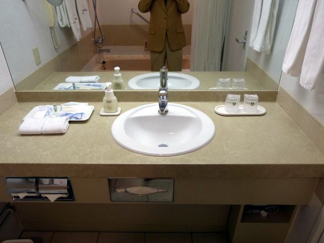 シンプルなシングルボウル