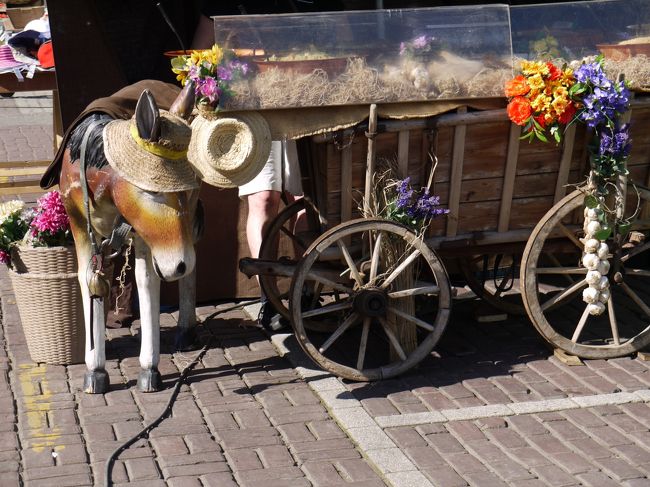 ストッケルの朝市のお店<br />ニンニクか何か売ってたと思います。