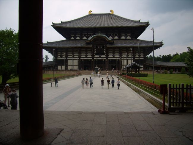 東大寺大仏殿は入場料をけちって<br />格子の間からパチリンこ<br />ほんとうはそろそろ集合時間が近づいた為。<br />この辺で人に会うようになってきた<br />この周辺のシカと二月三月堂あたりと<br />若草山頂上あたりのシカは性格が違うのだって<br />山の上のシカは人に寄ってこない<br />東大寺南大門あたりのシカはシカせんべ<br />をもっている人間を押し倒すか何匹かで<br />とりかこんでカツアゲをする。<br />（昔厳島神社で狂言出演してたころ）<br />まずフェリ−で我々神能出演者がくれば<br />シカが23頭目ざとく寄ってきて<br />「社務所までおともいたしましょう」<br />「お荷物お咥えつかまつりましょう」<br />と言って宮島のシカは慇懃なものであった<br />それに比べ奈良シカは傲岸である。<br />私がシカせんべを持ってないか<br />売店まで行って買う気がない<br />とわかると「チイッてめえ」と言ってそっぽを向く<br />