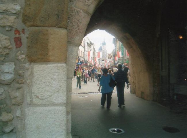 くぐってみます