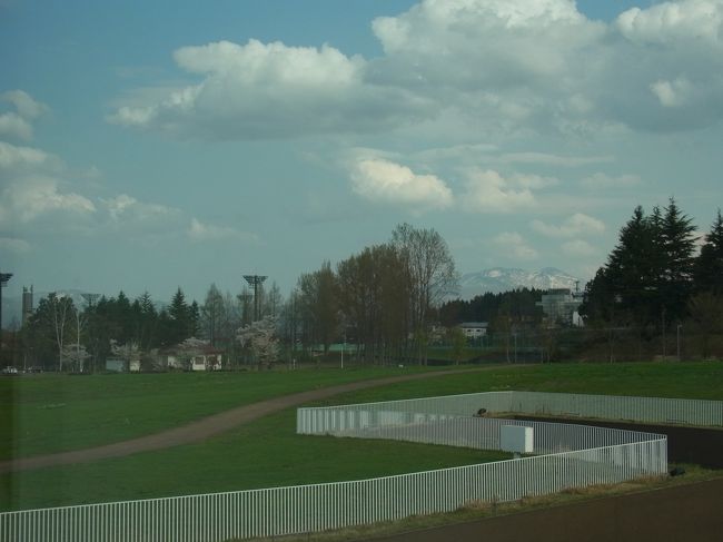 窓からこんな景色が見れます。