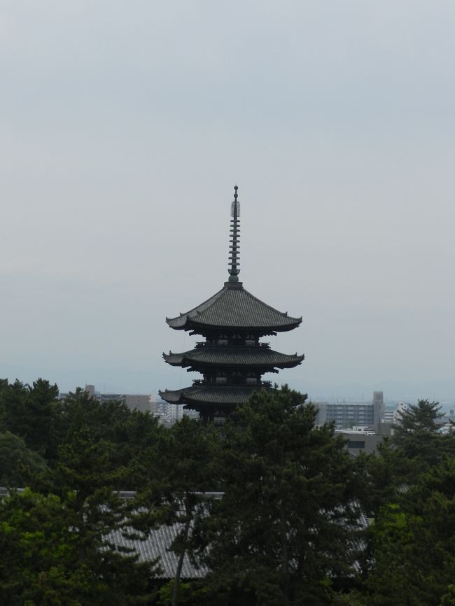 興福寺五重塔をズーム。
