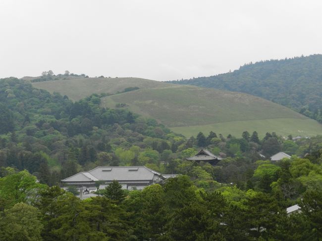 東大寺ミュージアムの建物と若草山。