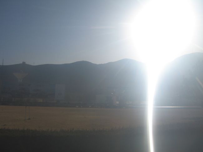 日差しが強過ぎてこんな写真に。。。