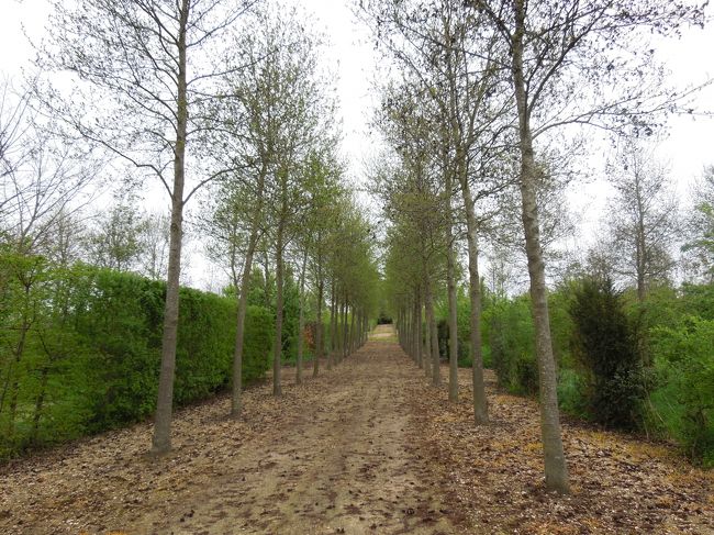 グラントリアノンからプチトリアノンまで巡回バス（有料）が走っているのですが、私たちは庭から出て、そのまま農場を回って散歩するコースを選びました。<br /><br />このコースを歩いているのは私たちだけでした(T_T)<br />ここを歩いていると、ベルサイユ宮殿の敷地にいることを忘れてしまうくらい、広大で素晴らしかったです。