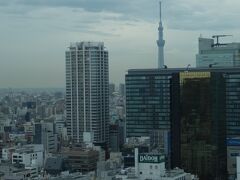 病院の診療所は高層階にあるので、とっても眺めがよいのです。

御茶ノ水から、スカイツリーもよく見えます。実際は、もっとバ〜ンとでっかく見えるのですが、写真だとちょっと小さく見える・・・しかも、前にあるビルが邪魔・・・。