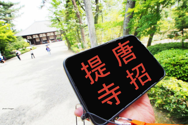 受付で拝観料を納めて境内に入ると、右手の所に立っている人から話しかけられる。<br />何かと思うと、唐招提寺にはタブレット(GALAXY Tab)を使ったガイド案内があるそうです。(有料500円)<br />その名も「唐招提寺スマートガイド」。<br />http://www.koozyt.com/press/2011/pr110629.html<br /><br />境内の案内版の所に、QRバーコードみたいなマークがあります。<br />それをこのGALAXY Tabに読み込ませると写真と解説をやってくれるんですね。<br /><br />ちなみに写真の唐招提寺の画面にはちゃんと唐招提寺って浮かびます。<br />ただ、反射で説明してくれるおっちゃんの顔が写りこんでいるので修正(汗)<br />手もおっちゃんのおてて。<br /><br />いわゆるでかいスマートフォン的な感じなので、ロック解除とかフリック的な動きは一緒です。<br />一応、周りに音が聞こえないようにイヤホンしなければいけないので、見た目は全然スマートじゃない。(爆)<br /><br />仏像等の解説もしてくれて非常にありがたいのですが…説明に集中しちゃって見た物をあやふやにしてしまうので初めての人にはお勧めしません(-ω-)<br /><br />できれば手持ちのiphoneとかアンドロイドで読みこめば説明してくれる方がありがたいですねぇ。<br />